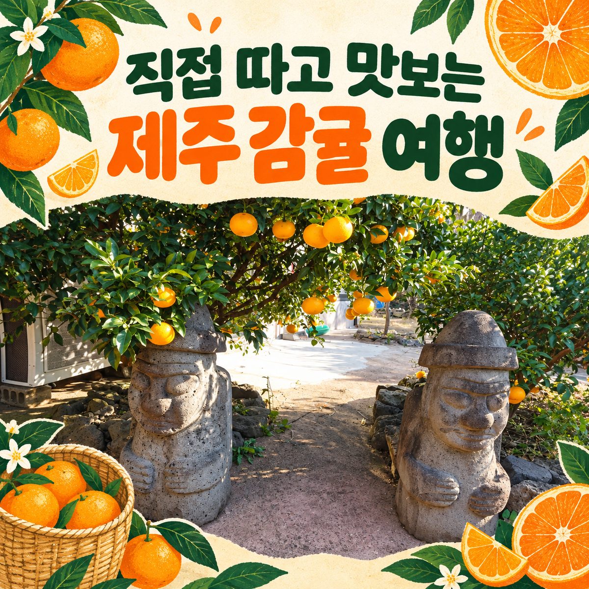 A Jeju Tangerine Trip: Pick and Taste Them Yourself