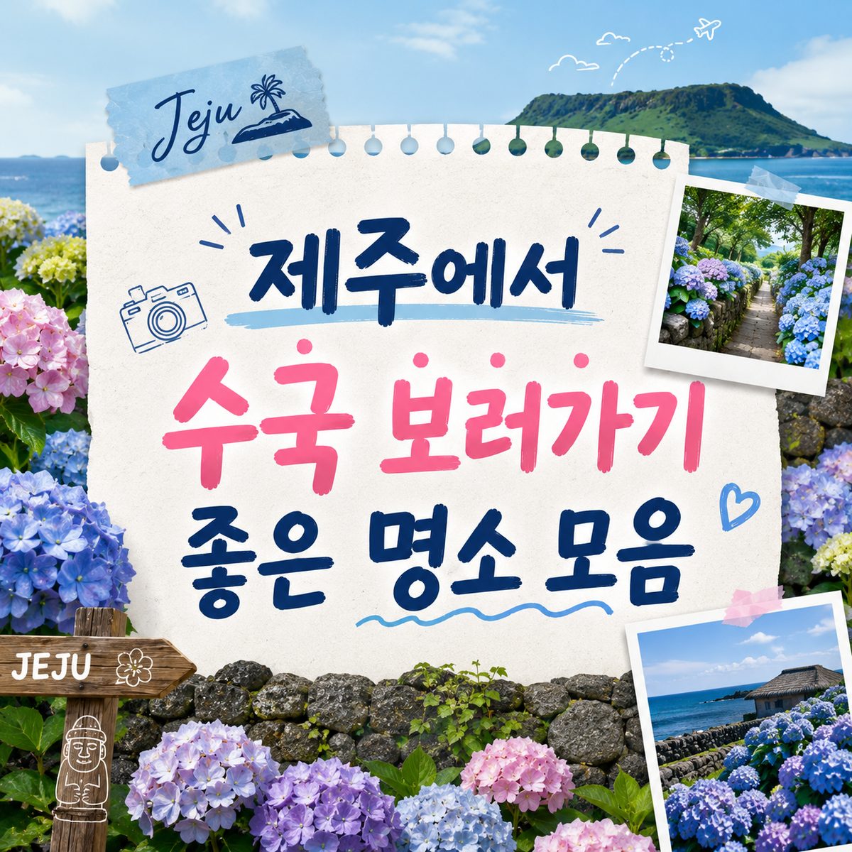 제주에서 수국 보러가기 좋은 명소 모음