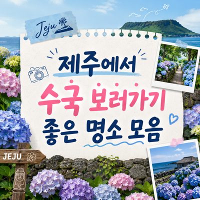 제주에서 수국 보러가기 좋은 명소 모음
