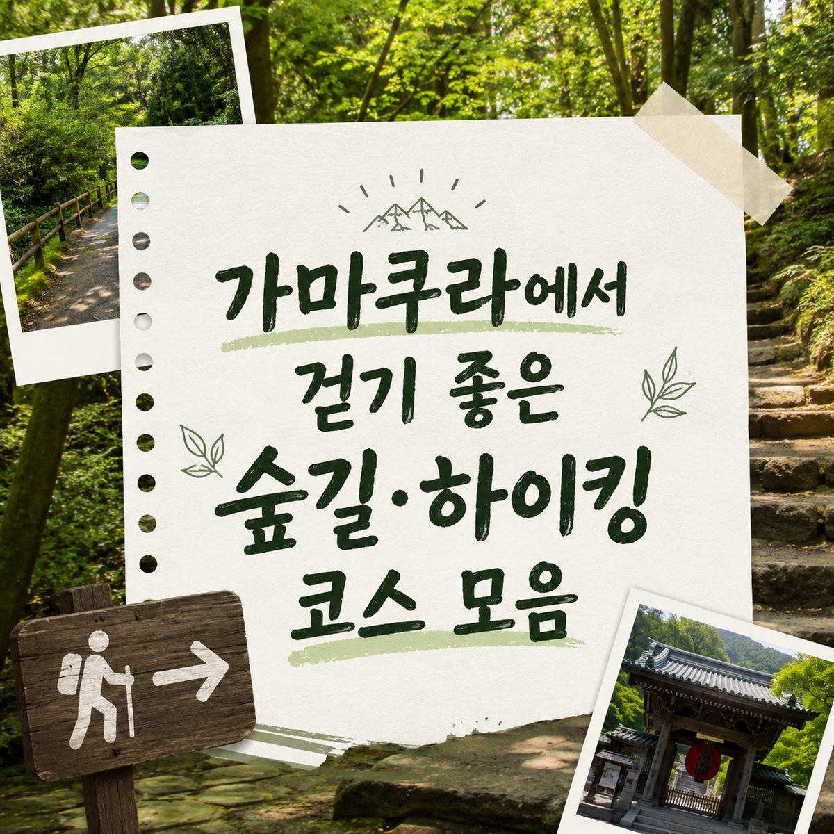 가마쿠라에서 걷기 좋은 숲길·하이킹 코스 모음