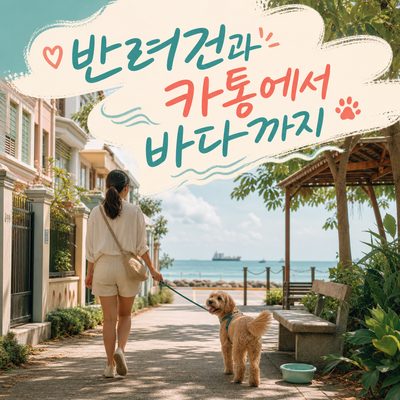 반려견과 카통에서 바다까지 걷는 현실적인 하루