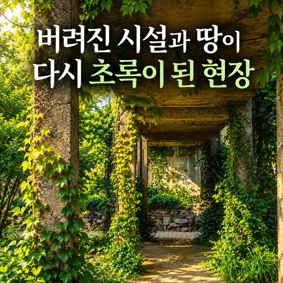 버려진 시설과 땅이 다시 초록이 된 현장