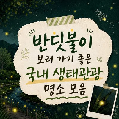 반딧불이 보러 가기 좋은 국내 생태관광 명소 모음