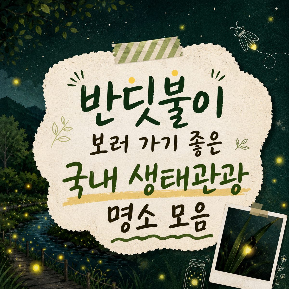 반딧불이 보러 가기 좋은 국내 생태관광 명소 모음