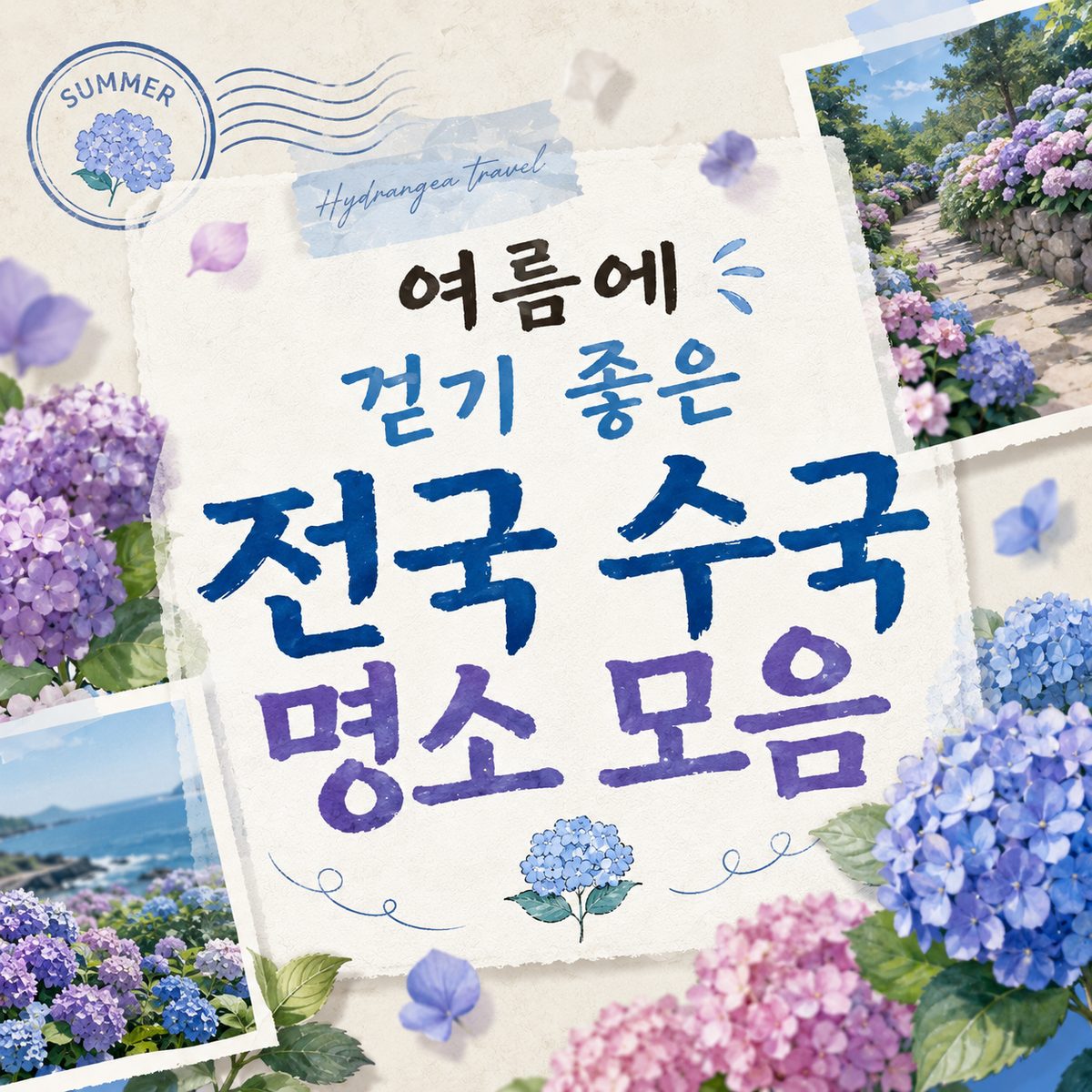 여름에 걷기 좋은 전국 수국 명소 모음
