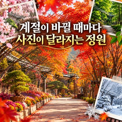 계절이 바뀔 때마다 사진이 달라지는 정원