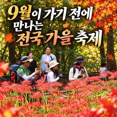 9월이 가기 전에 만나는 전국 가을 축제