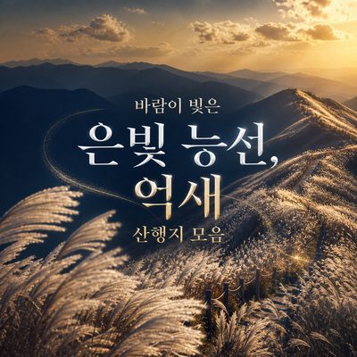 바람이 빚은 은빛 능선, 억새 산행지 모음