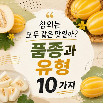 참외는 모두 같은 맛일까? 품종과 유형 10가지