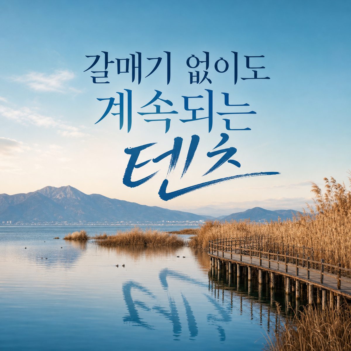 갈매기가 떠난 뒤에도 뎬츠를 걸어야 하는 이유