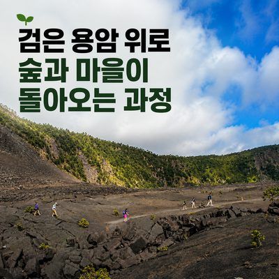 검은 용암 위로 숲과 마을이 돌아오는 과정