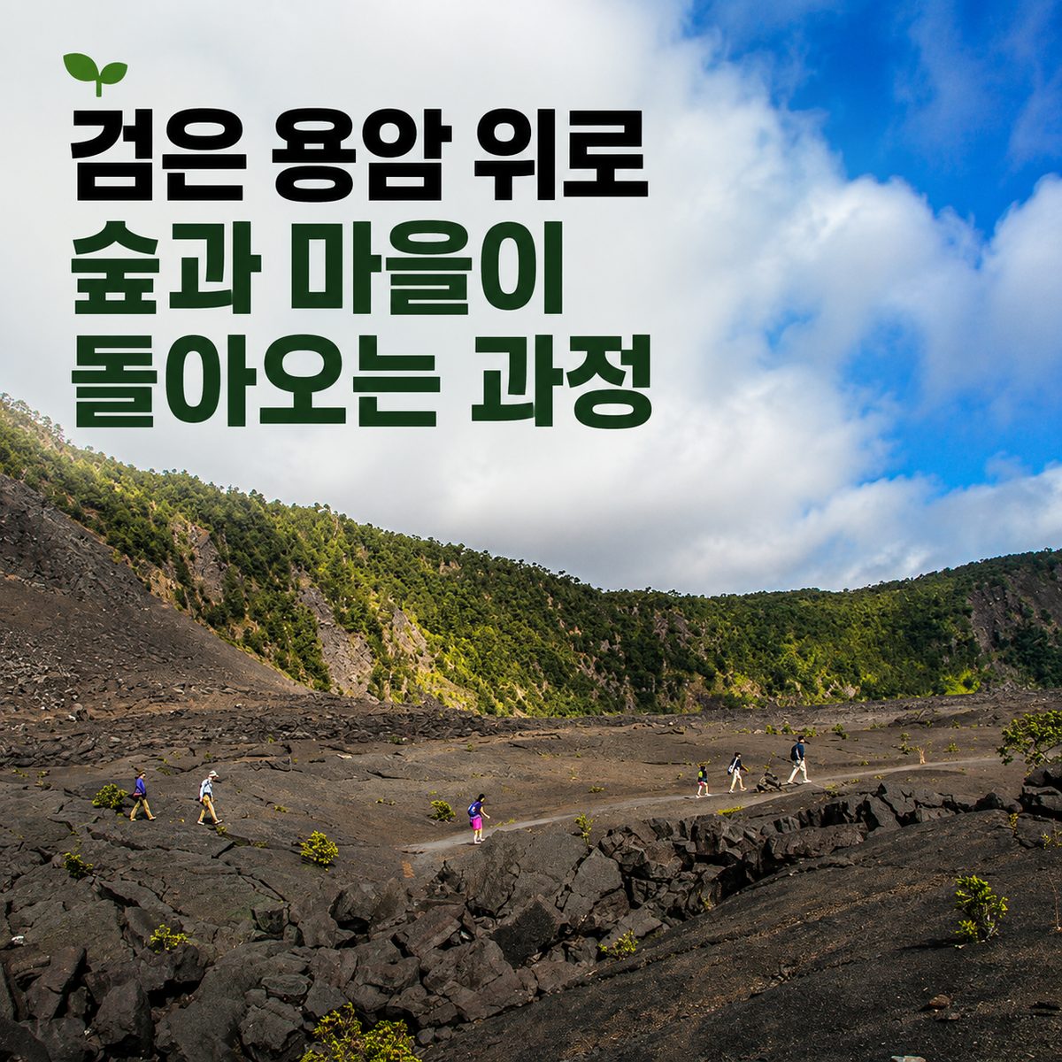 검은 용암 위로 숲과 마을이 돌아오는 과정