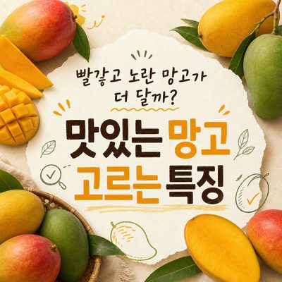 빨갛고 노란 망고가 더 달까? 맛있는 망고 고르는 특징