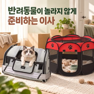 반려동물이 놀라지 않게 준비하는 이사