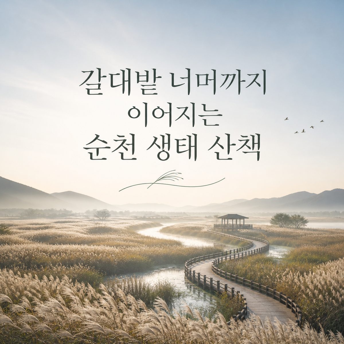 갈대밭 너머까지 이어지는 순천 생태 산책