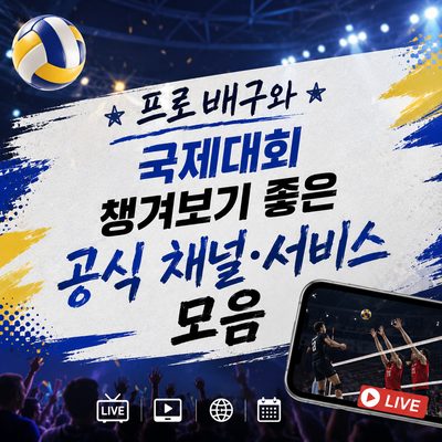 프로배구와 국제대회 챙겨보기 좋은 공식 채널·서비스 모음