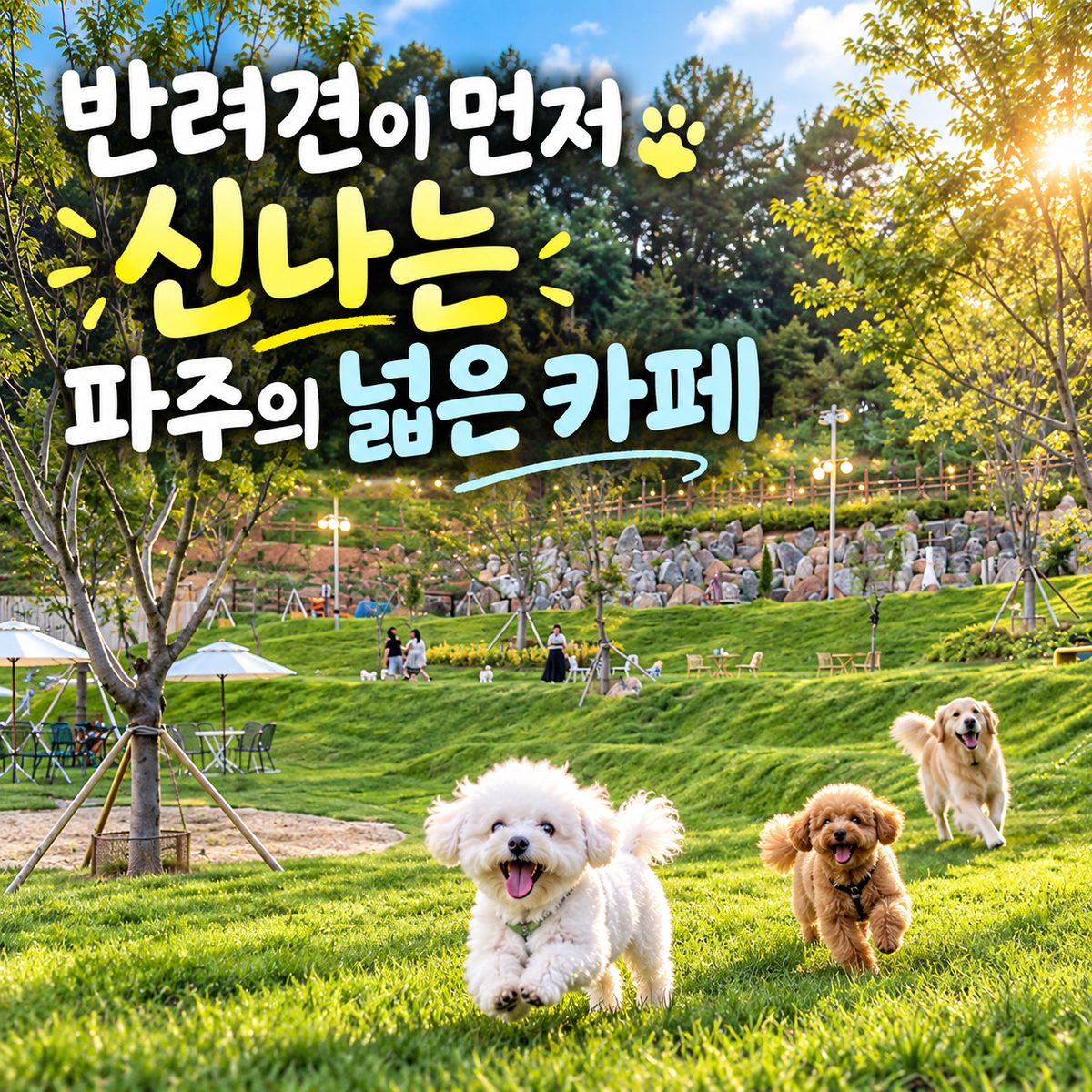 반려견이 먼저 신나는 파주의 넓은 카페
