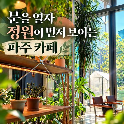 문을 열자 정원이 먼저 보이는 파주 카페
