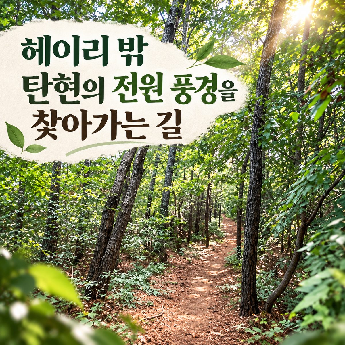 초롱꽃공원 산책 뒤 가족 메뉴가 많아지는 곳