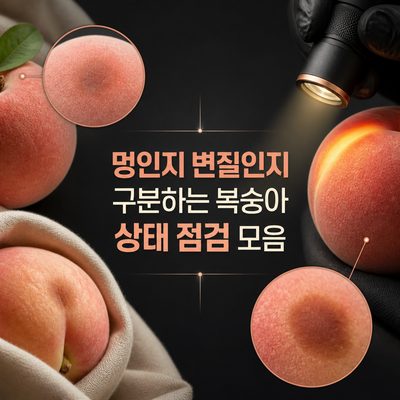 A Guide to Checking the Condition of Peaches: Bruises, Decay, and More