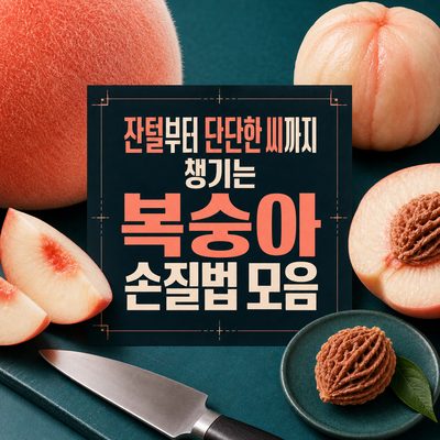 잔털부터 단단한 씨까지 챙기는 복숭아 손질법 모음