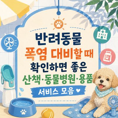 반려동물 폭염 대비할 때 확인하면 좋은 산책·동물병원·용품 서비스 모음