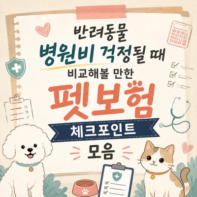 반려동물 병원비 걱정될 때 비교해볼 만한 펫보험 체크포인트 모음