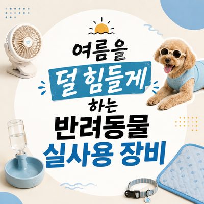 여름을 덜 힘들게 하는 반려동물 실사용 장비
