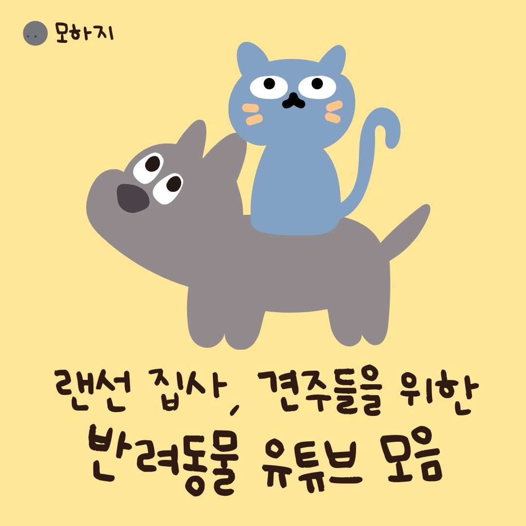 랜선 집사·견주를 위한 반려동물 유튜브 채널 모음
