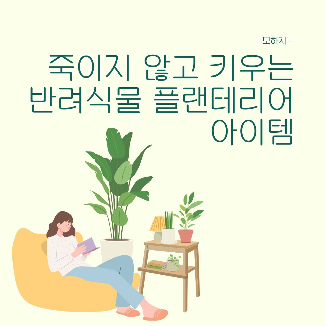 죽이지 않고 키우는 반려식물 플랜테리어 아이템