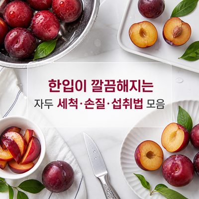 한입이 깔끔해지는 자두 세척·손질·섭취법 모음