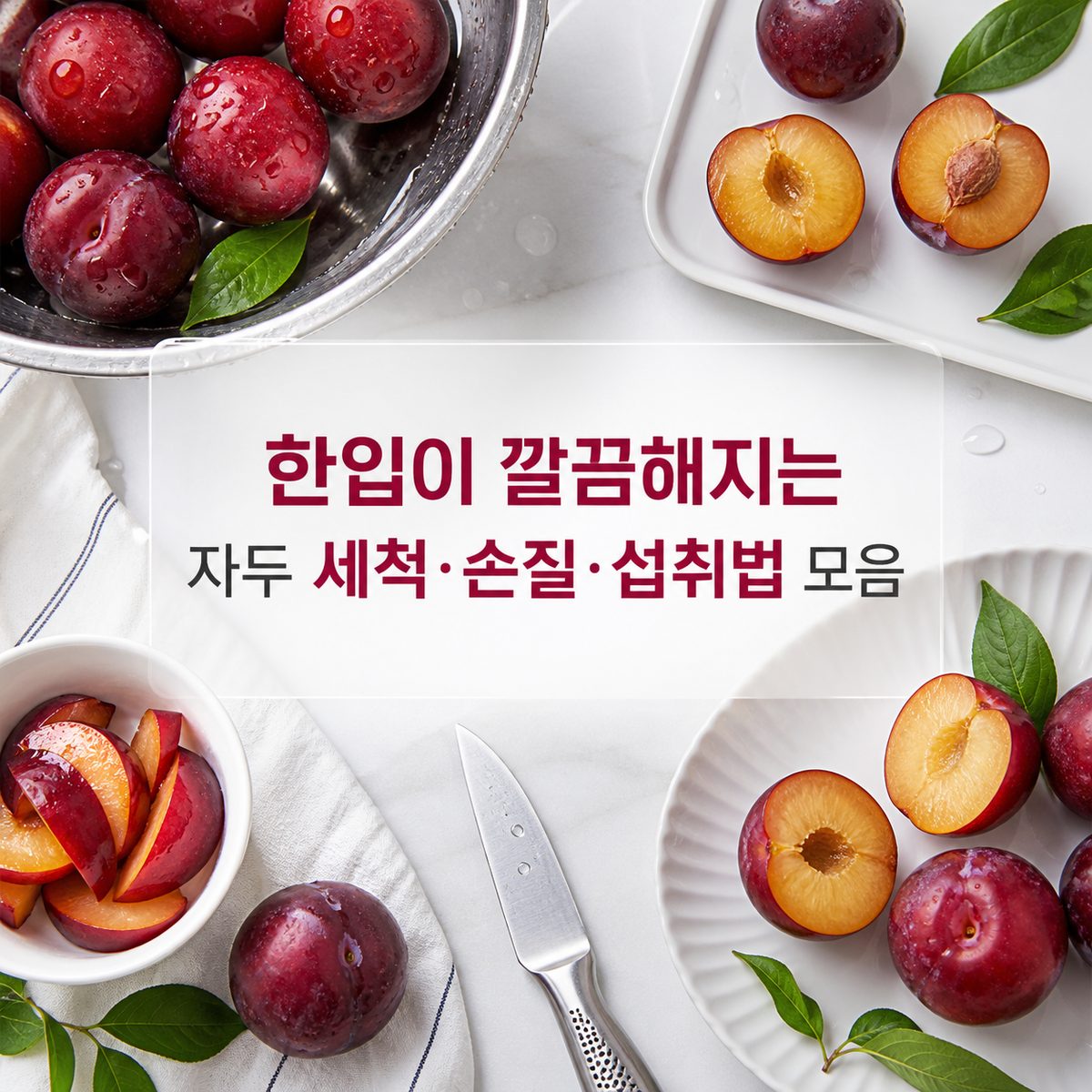 한입이 깔끔해지는 자두 세척·손질·섭취법 모음