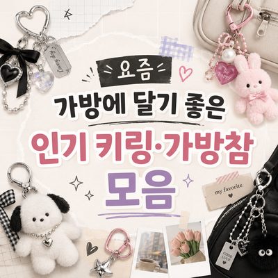 요즘 가방에 달기 좋은 인기 키링·가방참 모음
