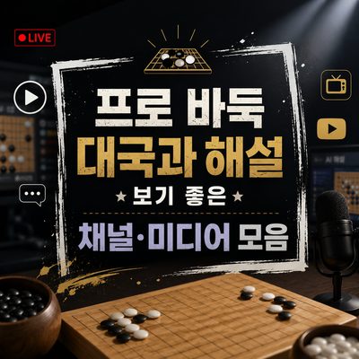 프로 바둑 대국과 해설 보기 좋은 채널·미디어 모음