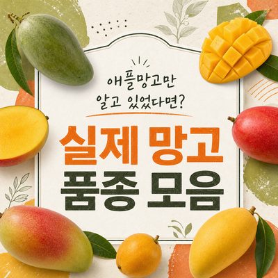 애플망고만 알고 있었다면? 실제 망고 품종 모음
