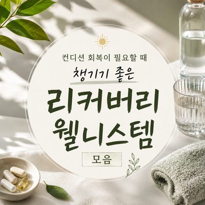 컨디션 회복이 필요할 때 챙기기 좋은 리커버리 웰니스템 모음