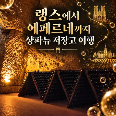 랭스에서 에페르네까지 샹파뉴 저장고 여행