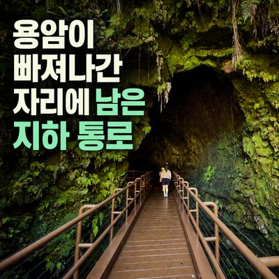 용암이 빠져나간 자리에 남은 지하 통로