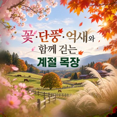 꽃·단풍·억새와 함께 걷는 계절 목장