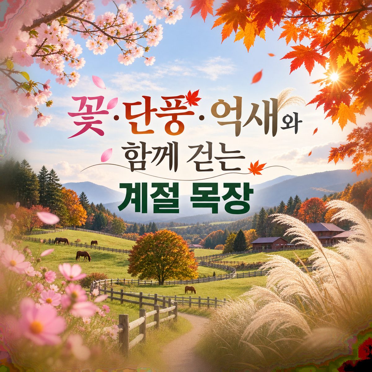꽃·단풍·억새와 함께 걷는 계절 목장