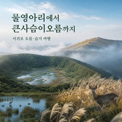 물영아리에서 큰사슴이오름까지 서귀포 오름·습지 여행