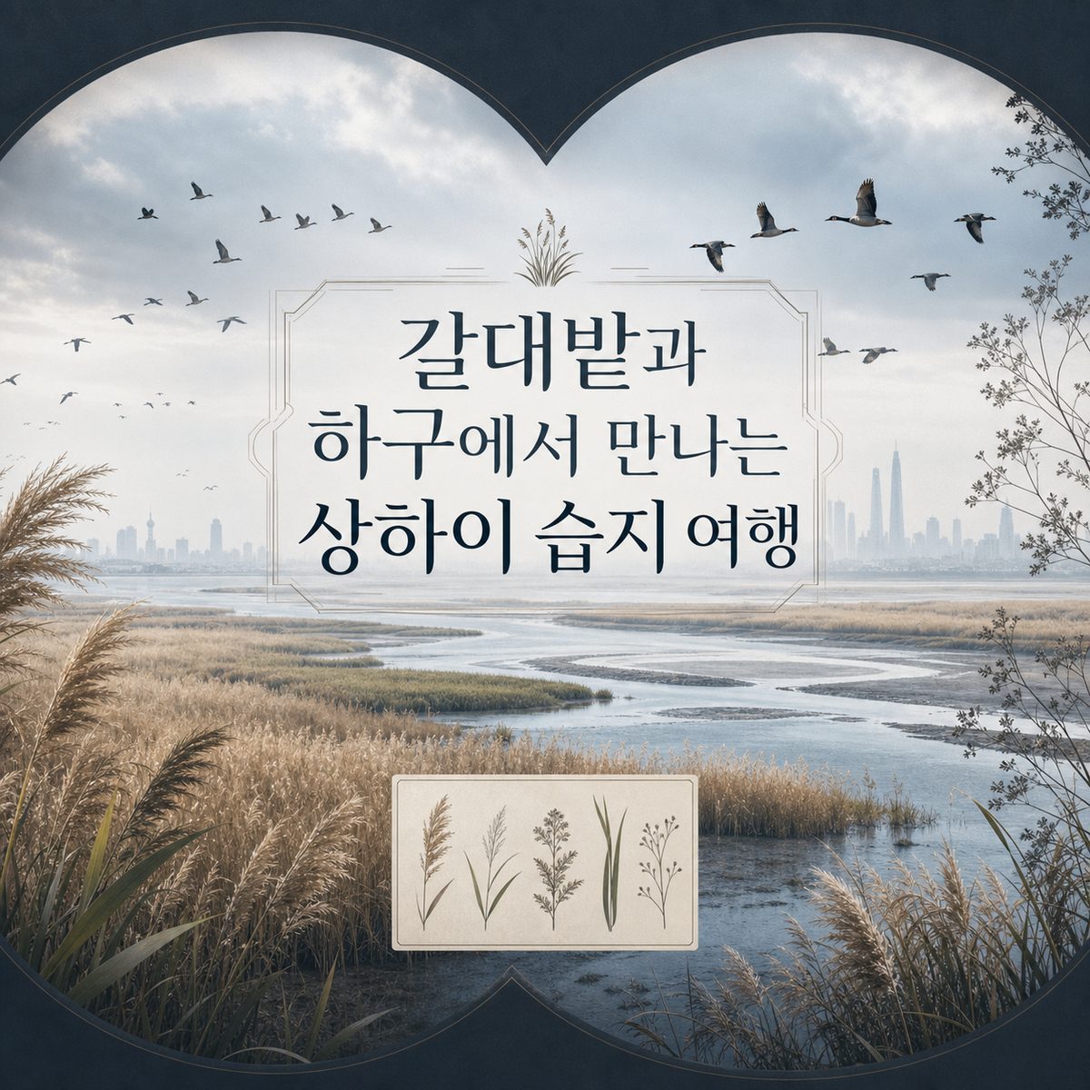갈대밭과 하구에서 만나는 상하이 습지 여행