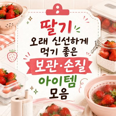 딸기 오래 신선하게 먹기 좋은 보관·손질 아이템 모음