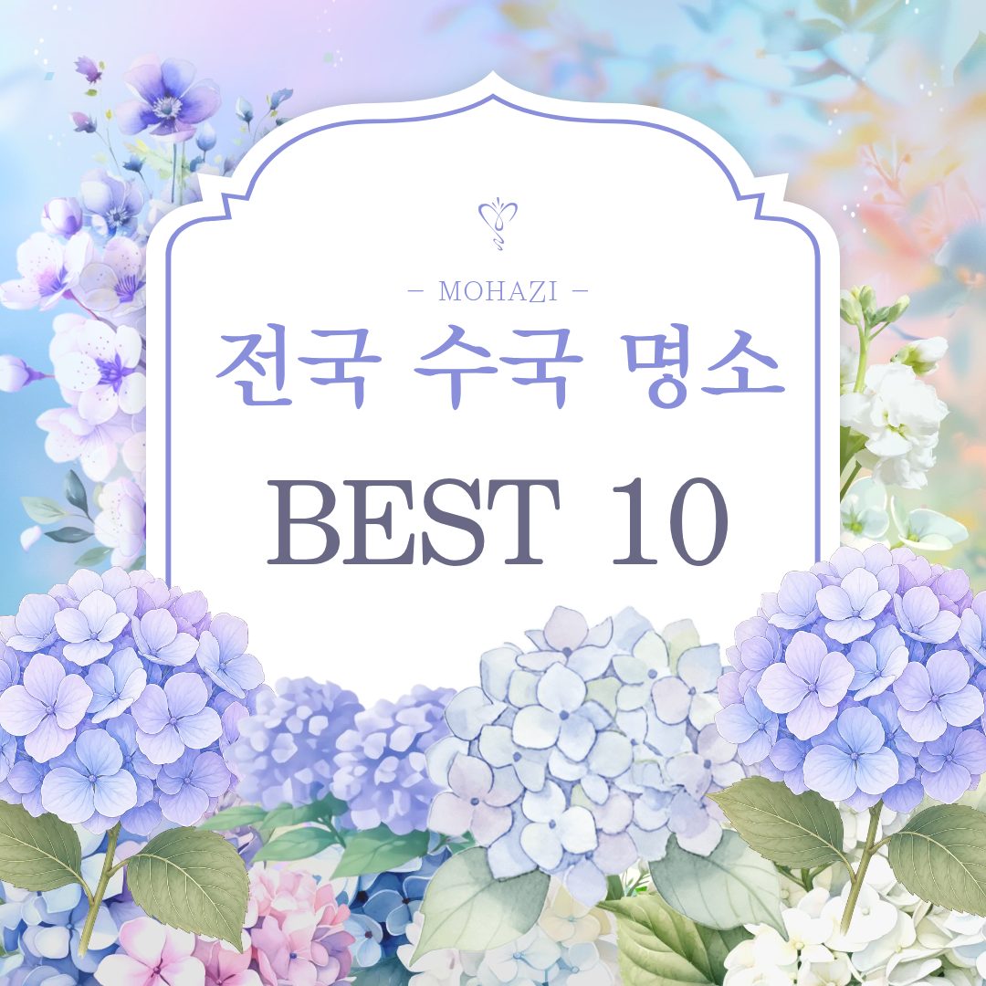 전국 수국 명소 BEST 10