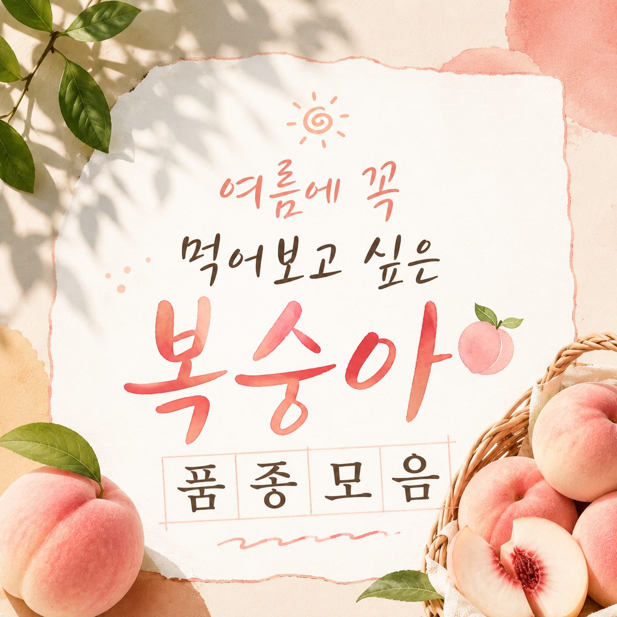 여름에 꼭 먹어보고 싶은 복숭아 품종 모음