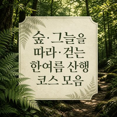 숲 그늘을 따라 걷는 한여름 산행 코스 모음