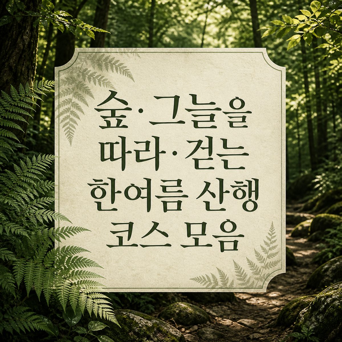 숲 그늘을 따라 걷는 한여름 산행 코스 모음