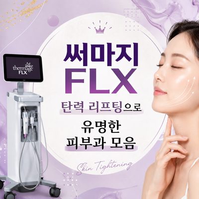 써마지 FLX 탄력 리프팅으로 유명한 피부과 모음