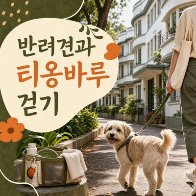 愛犬とティオンバルを歩く日には必要なポイント