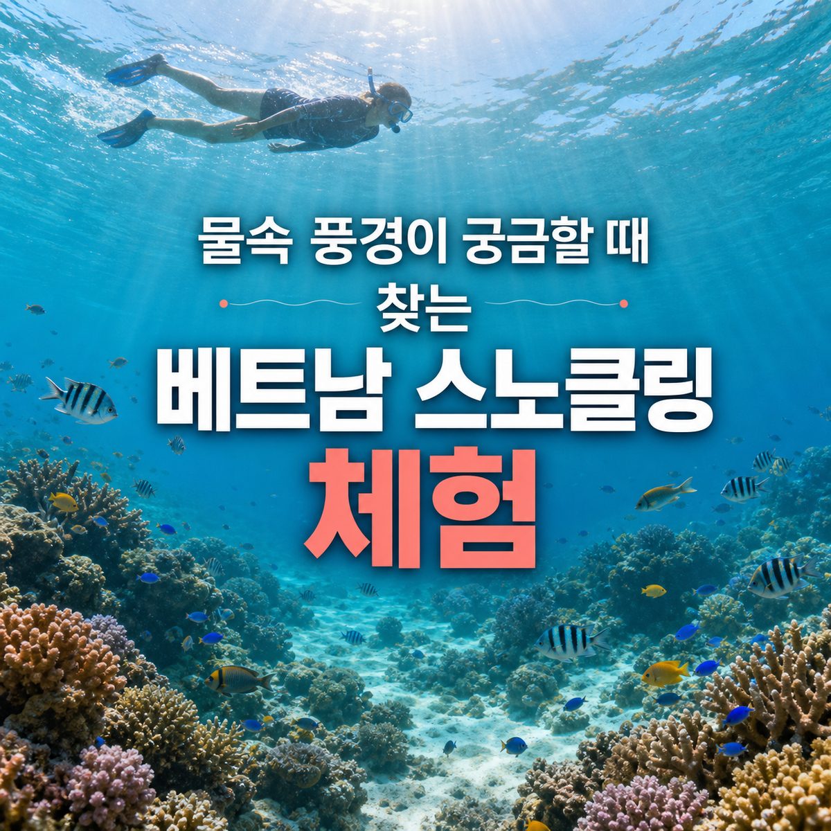 물속 풍경이 궁금할 때 찾는 베트남 스노클링 체험